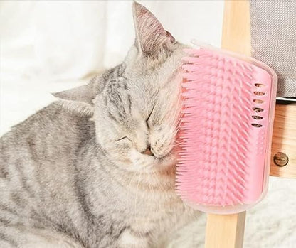 Let Your Cat Groom Itself – Effortlessly